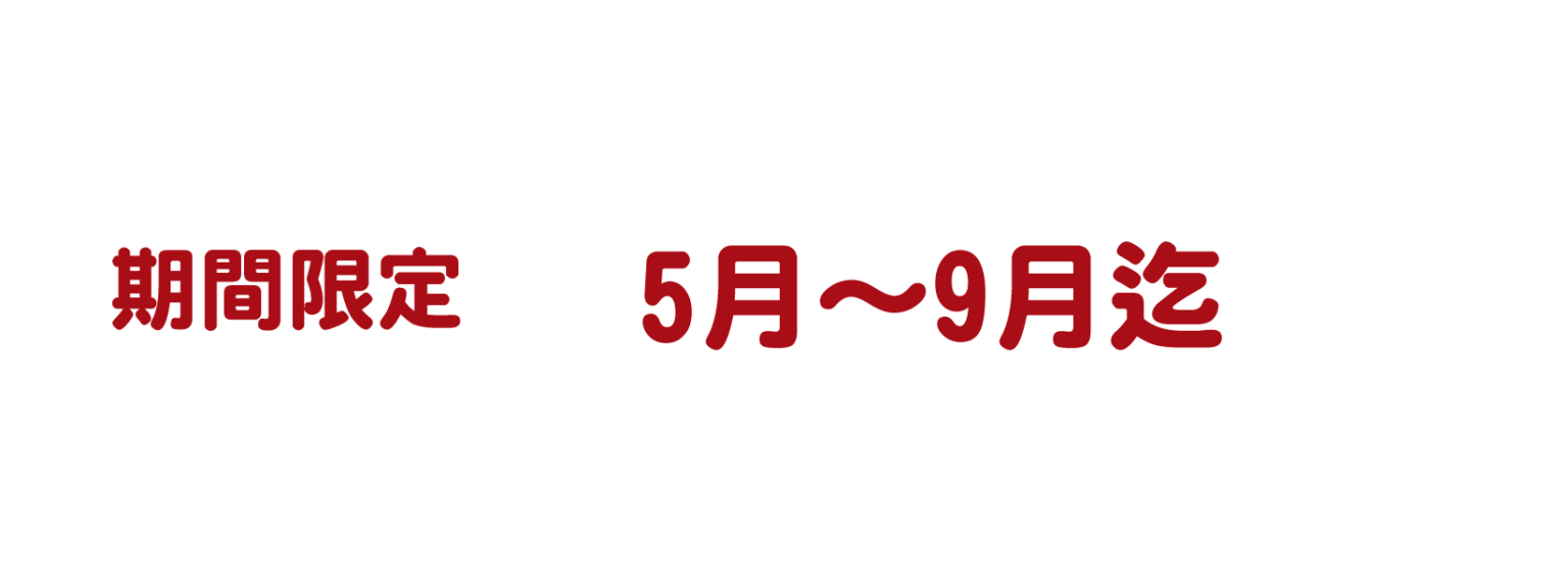 季節メニュー 群馬・太田市の本格中華｜中華レストラン ランラン｜CHINESE RESTAURANT RanRan